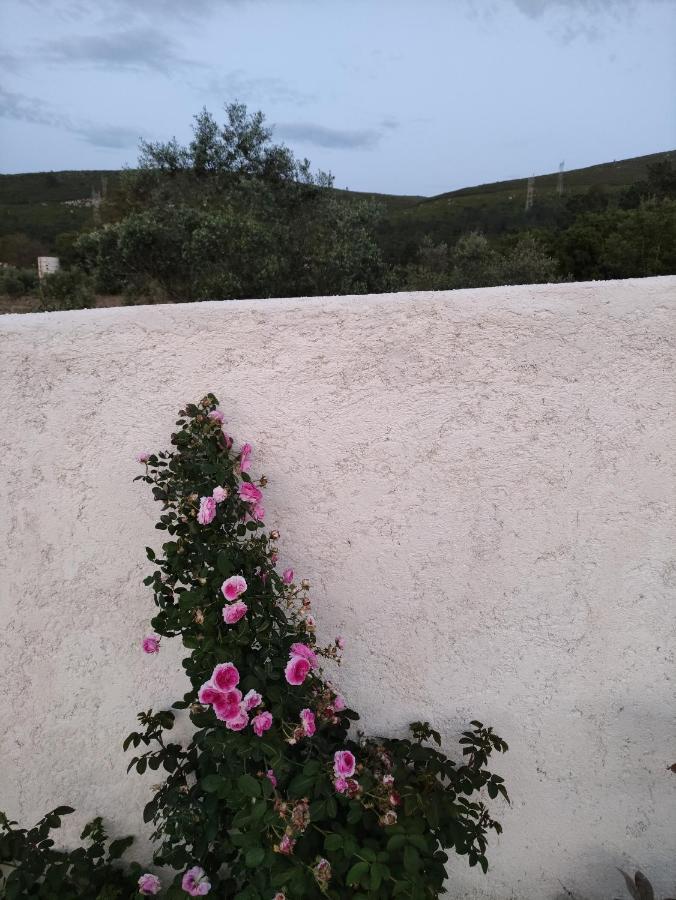 Porto de Mós Casa Dos Vales 11ヴィラ エクステリア 写真