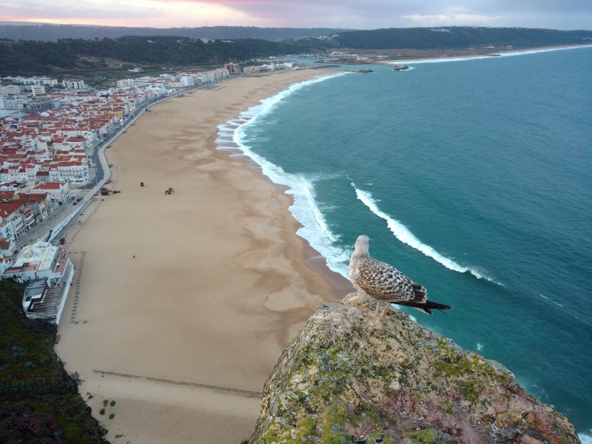 Porto de Mós Casa Dos Vales 11ヴィラ エクステリア 写真