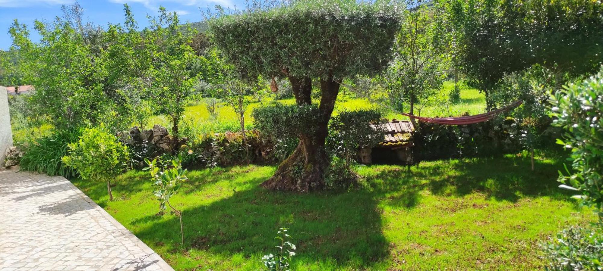 Porto de Mós Casa Dos Vales 11ヴィラ エクステリア 写真